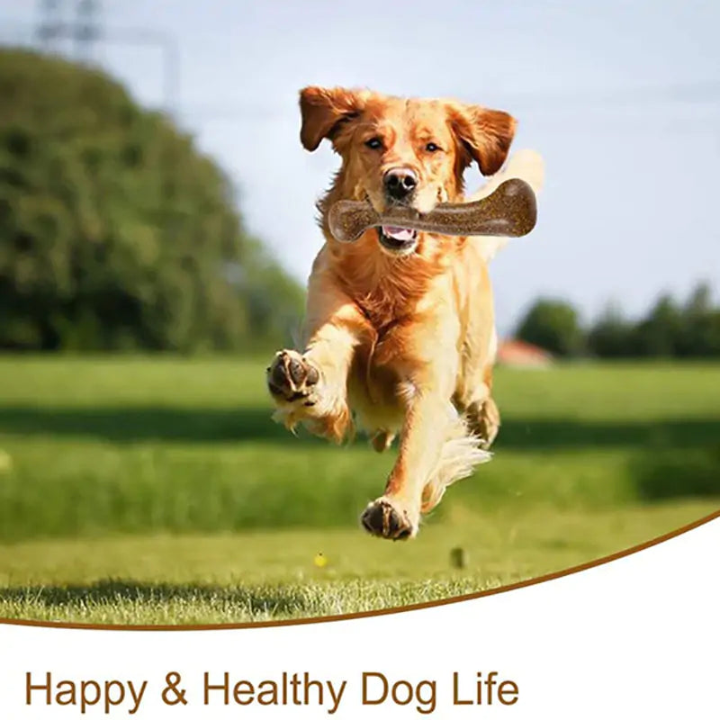 Dogs Tough Bone Chew Toy