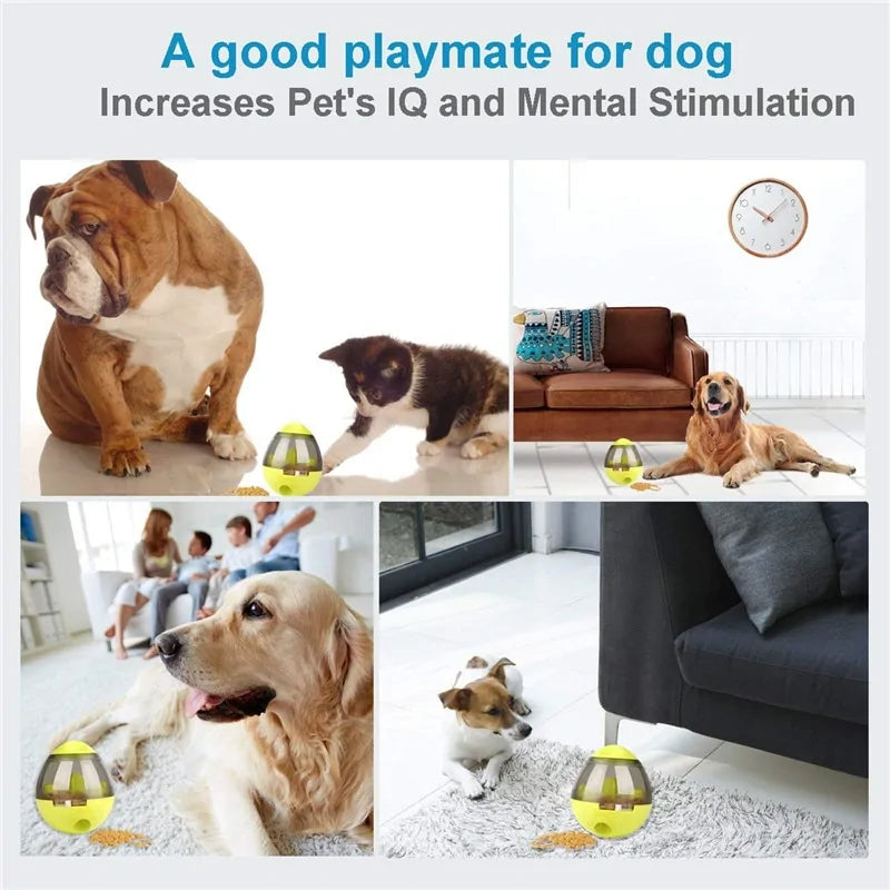 Interactive IQ Treat Ball – Keep Your pet Entertained & Engaged!