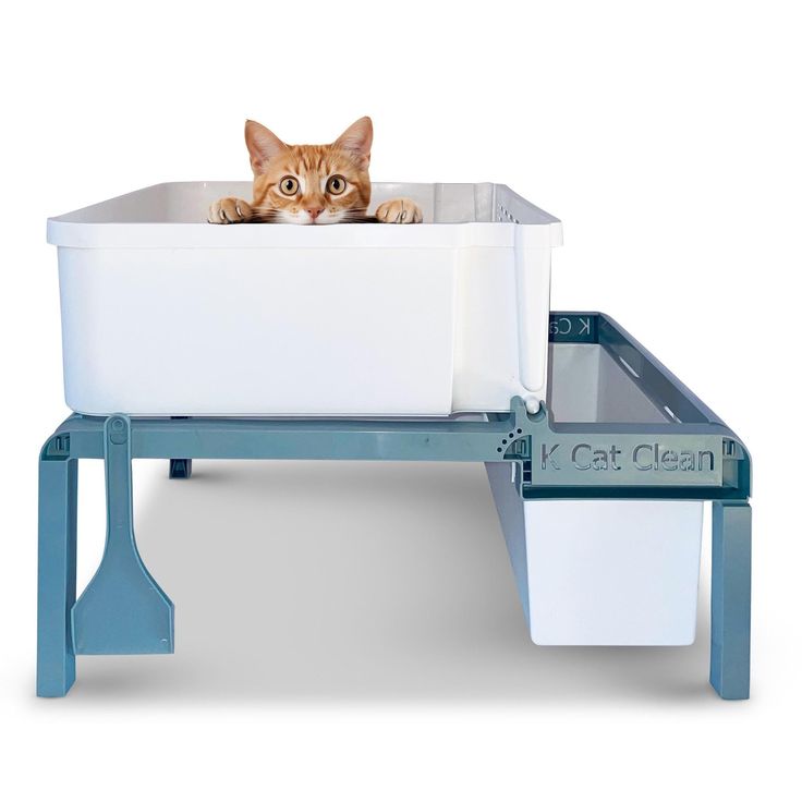 Litter & Waste Management