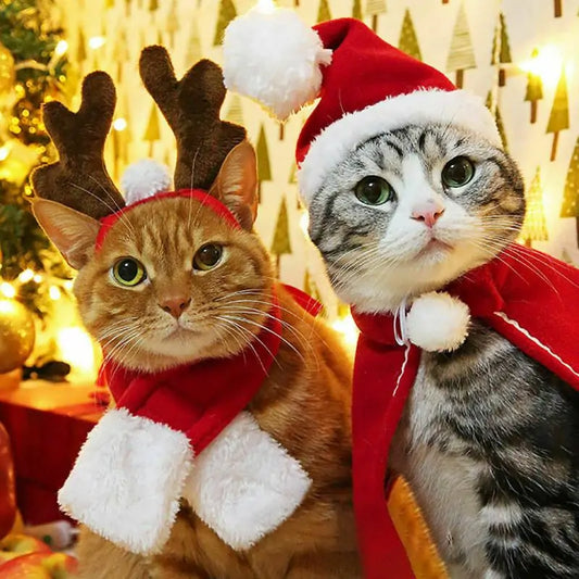 Festive Christmas Costumes