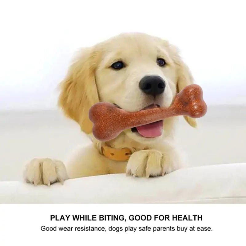 Dogs Tough Bone Chew Toy